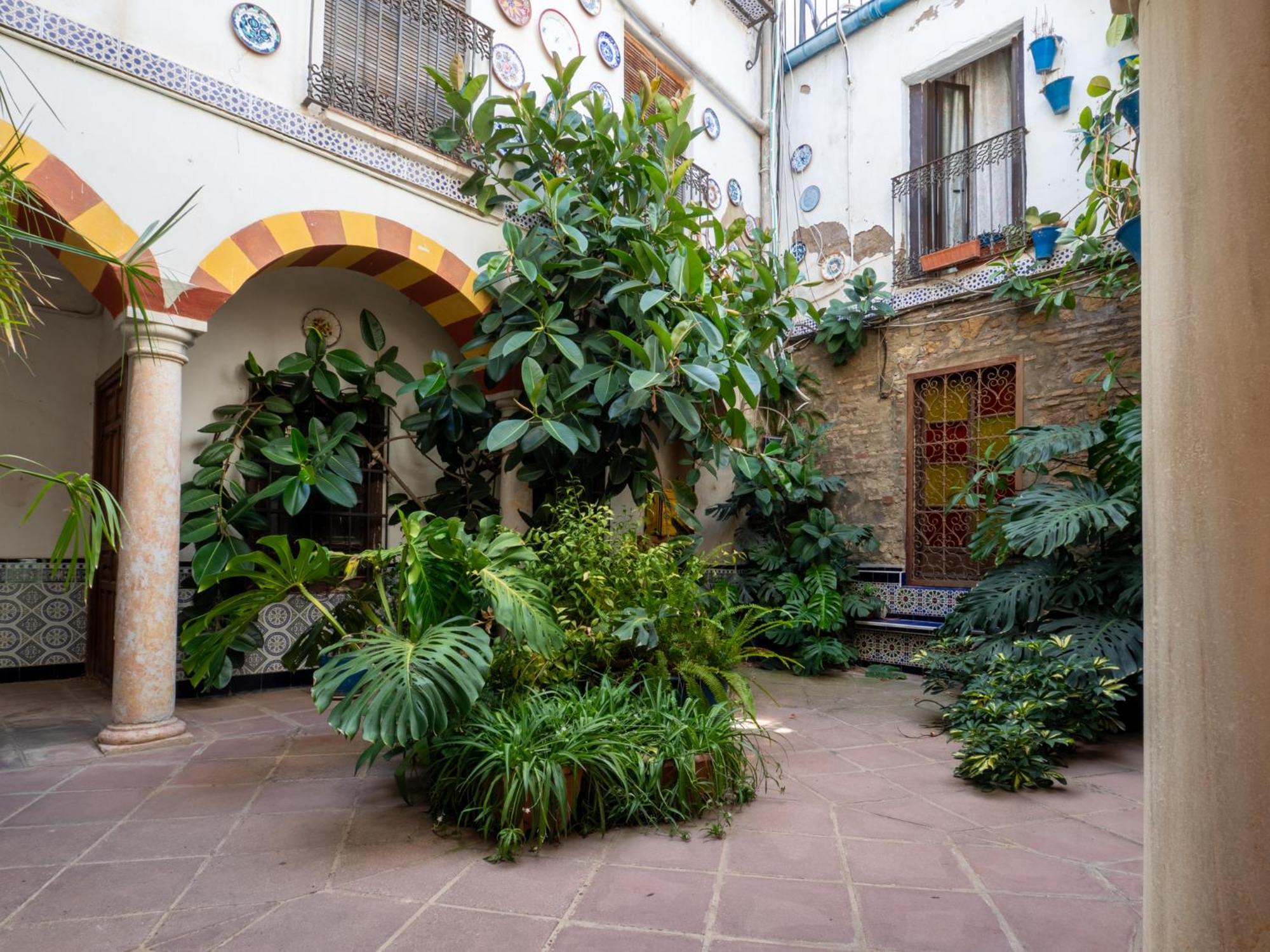 Apartment Bhost - Canas Cordoba
